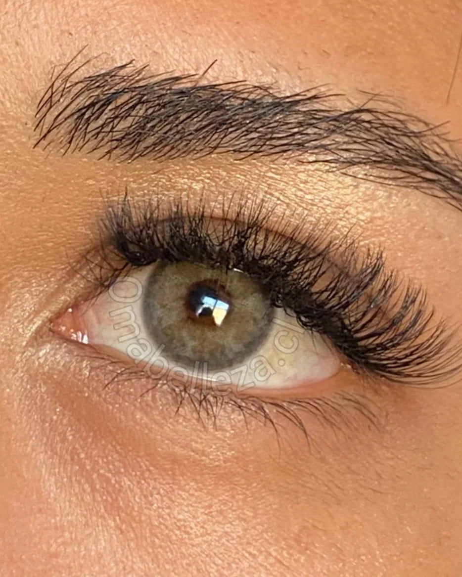 BUTTERFLY GRAY